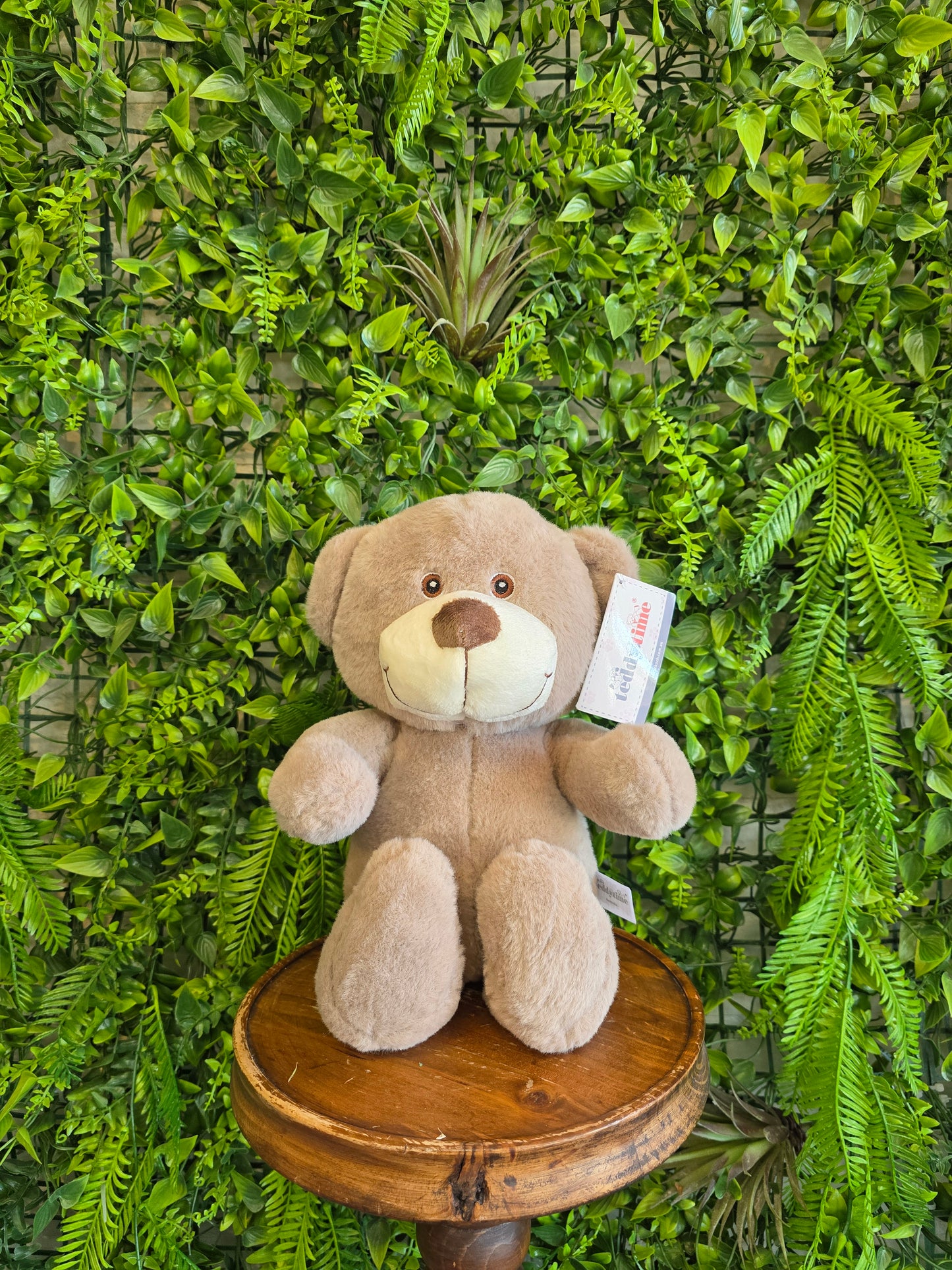 Oliver Teddy Bear